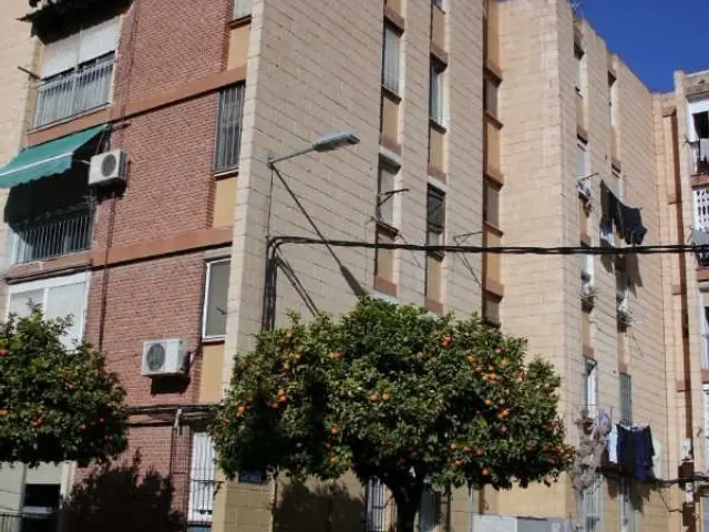 Apartment on Calle del Río Mula