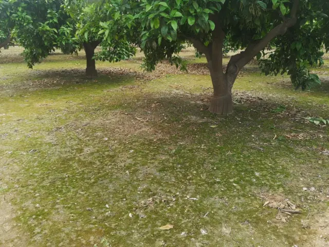 Rustic farm on Poligono 5 Street