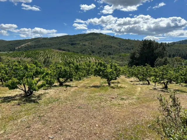 Casa en Ctra Torrecilla A Pinofranqueado