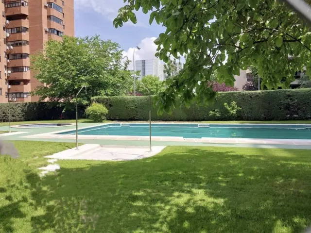 Piso en alquiler en Calle de Pedro Rico - Imagen 36