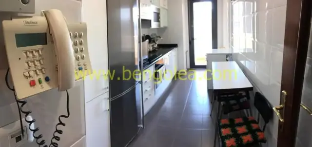 Apartment in Rontegui-Pormetxeta