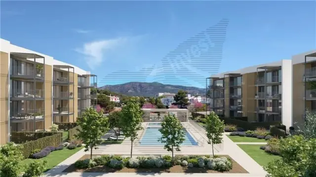Apartment in Palmanova-Son Caliu photo 13