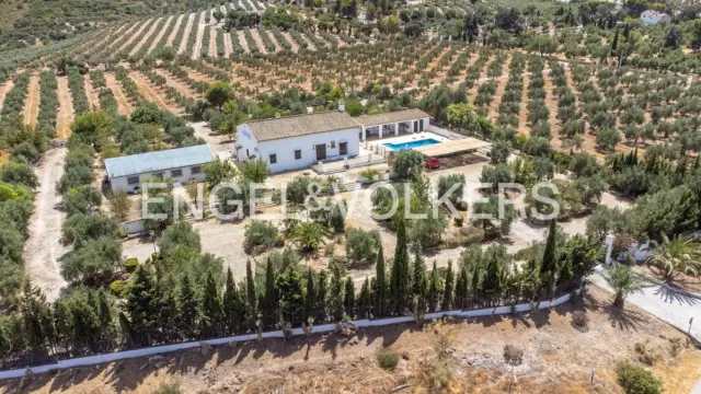 House in Osuna