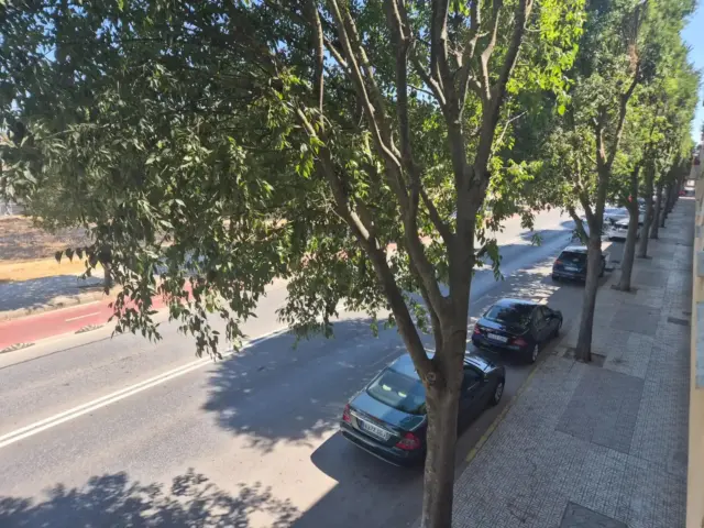 Apartamento en Avenida de Manuel Rojas Torres