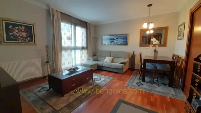Apartment in Bagatza-San Vicente