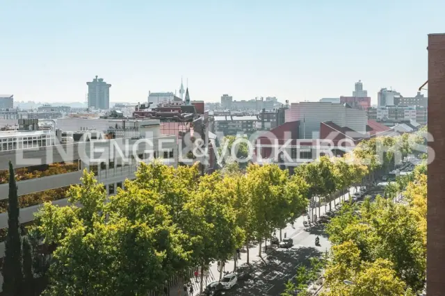 Apartment in El Viso photo 10