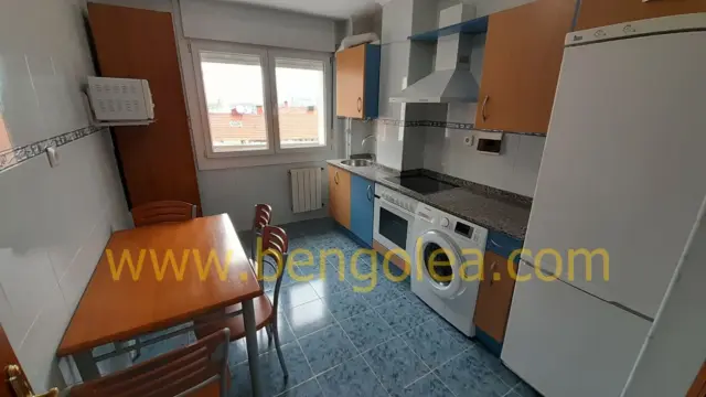 Apartment in Lasesarre