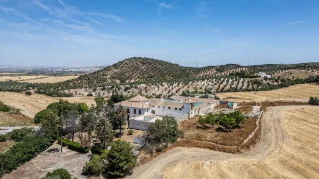 House in Osuna