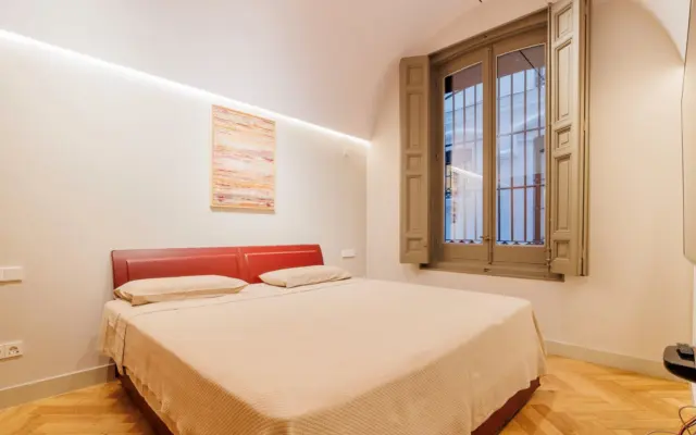Apartment on Zorrilla Street photo 13