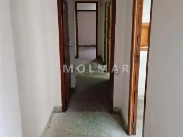 Apartment on Carrer Sociedad Musical photo 15
