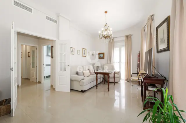 Apartment in Central Seville photo 3