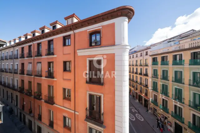 Apartment in Palacio photo 24
