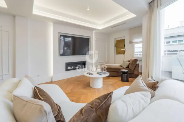 Penthouse on Castellana photo 7
