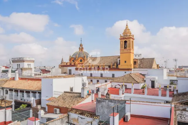 Apartment in Central Seville photo 4