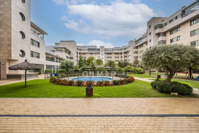 Apartment in Conde Orgaz photo 11