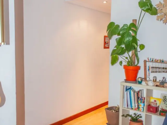 Apartment in San Cristobal photo 12