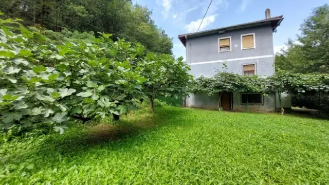 House on Basauntz Street photo 5