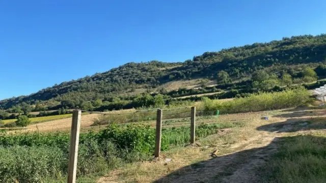 Finca rústica en venta en Frías - Més