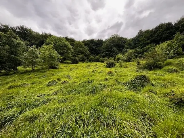 Rustic Finca in Latasa
