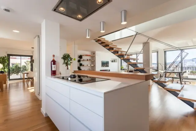 Duplex Penthouse in Bons Aires photo 11