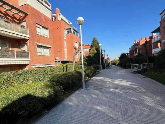 Apartment in Residencial Siglo Xxi - Sector B photo 27