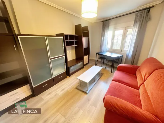 Apartment on Calle del Carpio