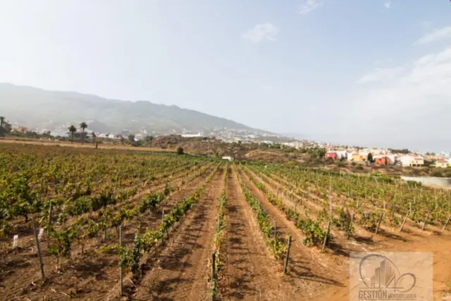 Rustic Finca in Barranco Hondo