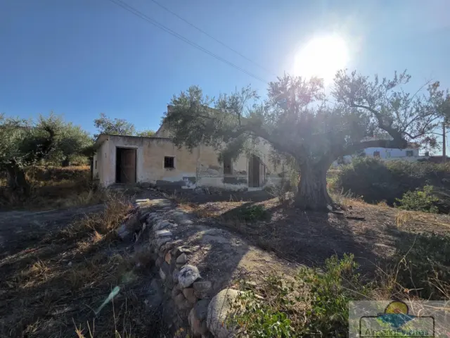 House in the Outskirts