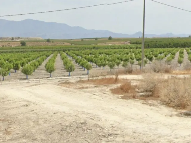 Rustic farm for sale in Venta del Olivo