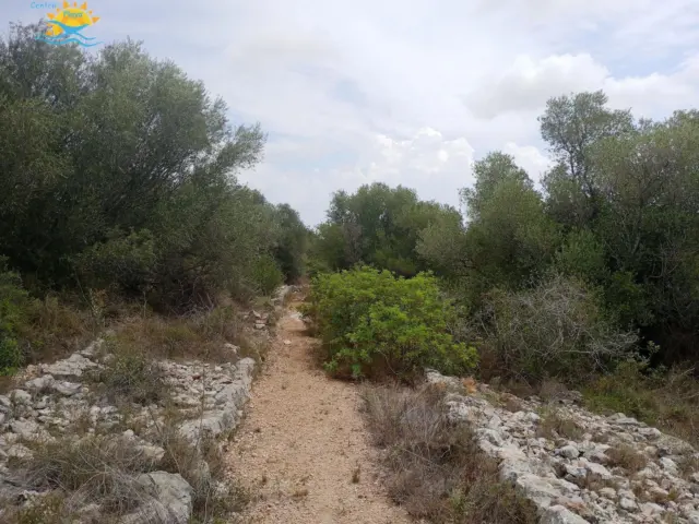 Finca rústica en calle Calig Castellon, nº 12589