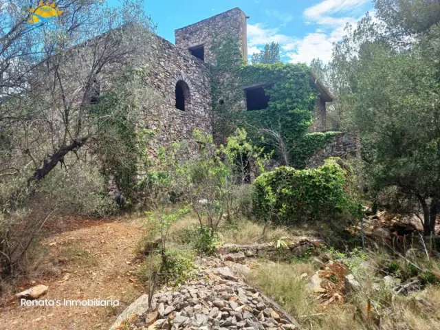 Finca rústica en calle Peñiscola