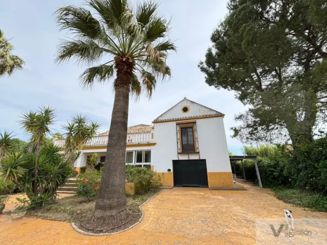 Rustic finca in La Matilla photo 23