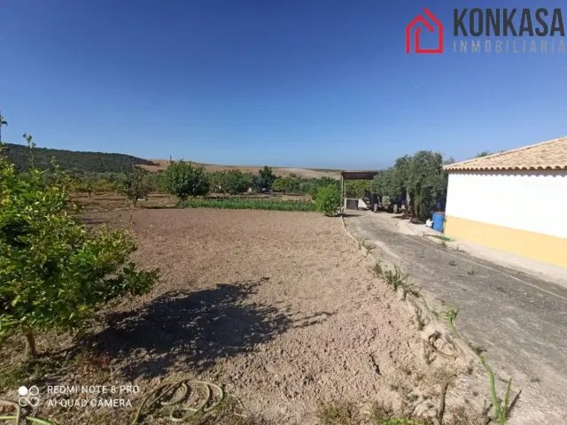 Chalet for Sale in El Pavo photo 3