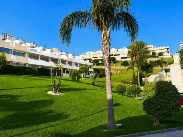 Apartment in Doña Julia photo 2