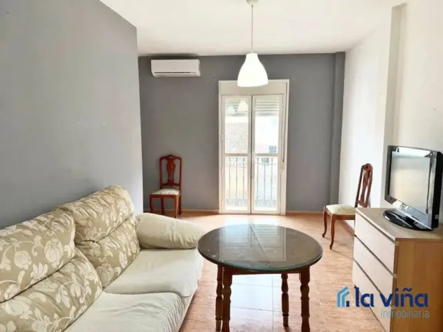 Apartment in Alameda photo 10
