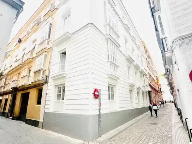 Apartment on Rafael de la Viesca Street