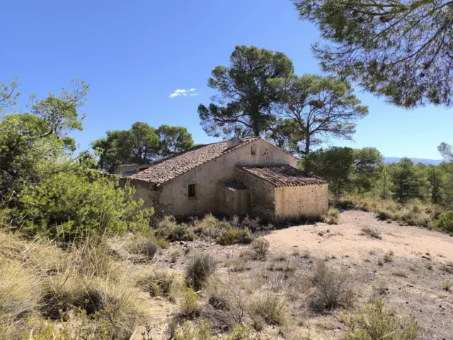Rustic Finca in Caudete