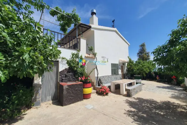 Rustic Finca in Sierro