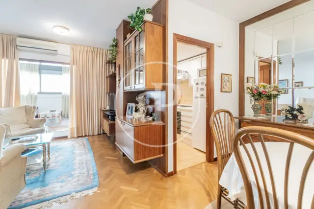 Apartment in Palacio photo 3