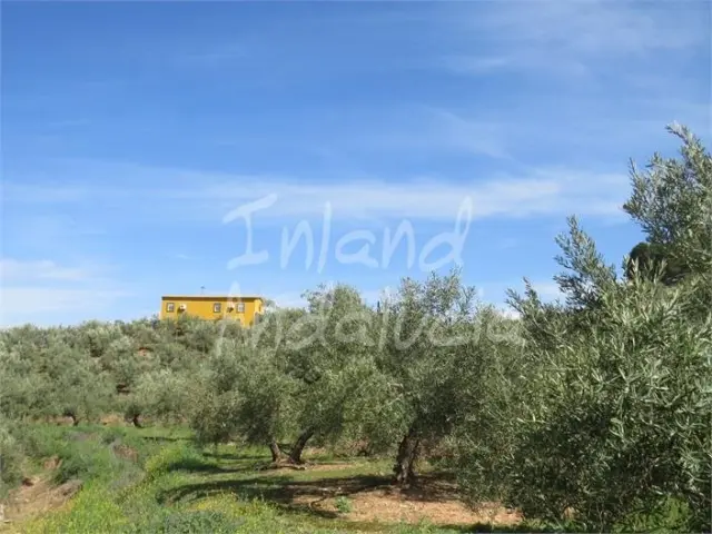 Rustic Finca in Alcaudete