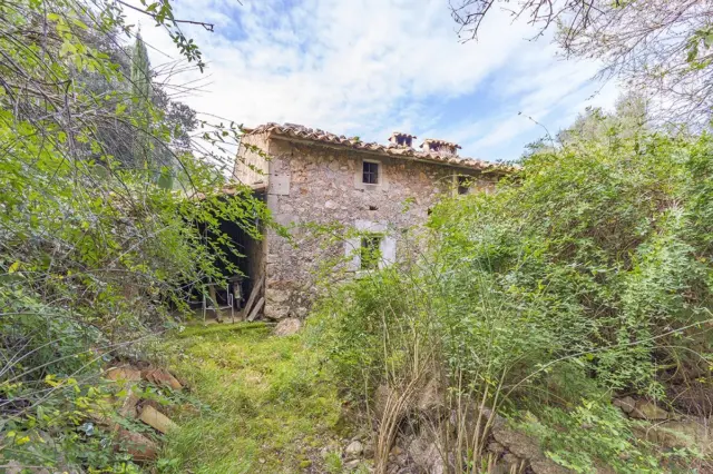 Rustic Finca in Pollença
