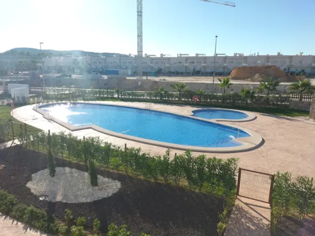 Apartment in Los Montesinos photo 3