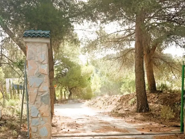 Rustic Finca in Petrer