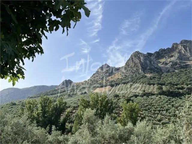 Rustic Finca in Priego de Córdoba