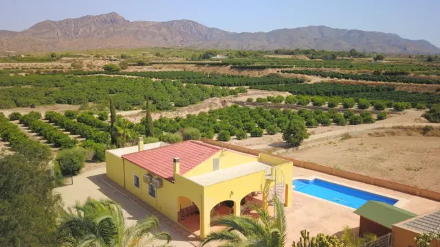 Rustic Finca in Albatera photo 3