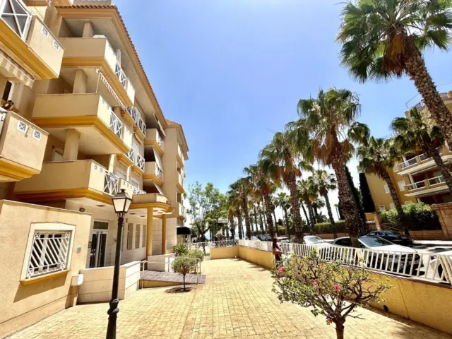 Apartment in Cabo Roig-La Zenia-La Regia