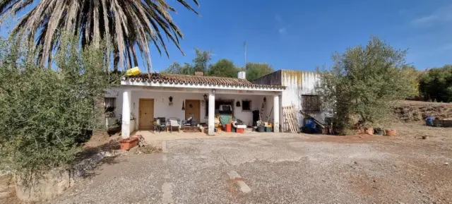 House in Estepona