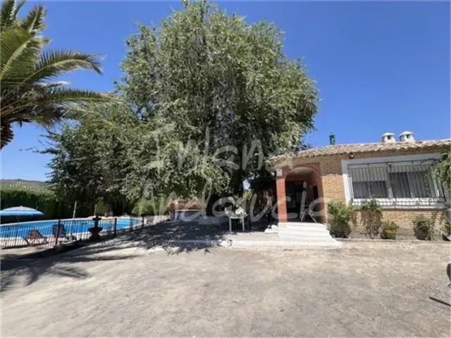 Rustic Finca in Alcalá la Real