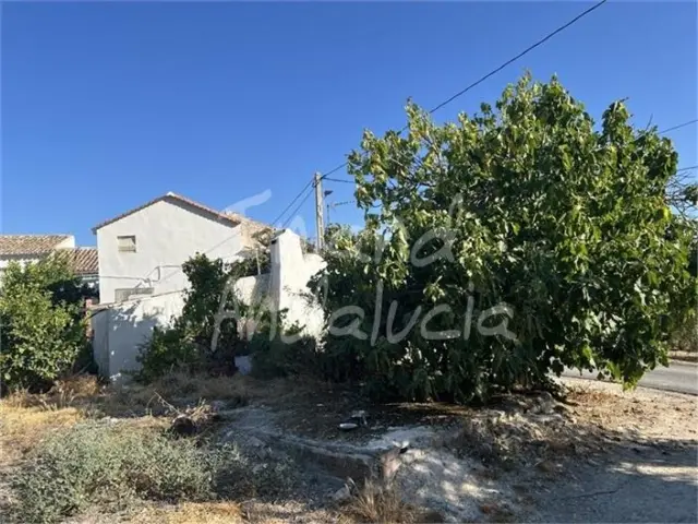 Rustic Finca in El Sabariego