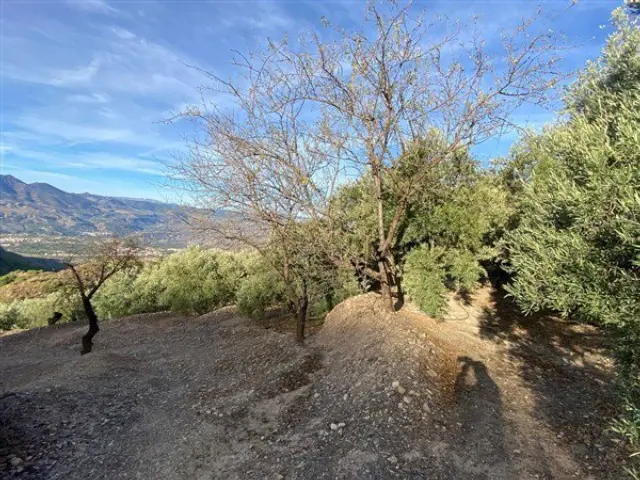 Rustic finca in Mondújar